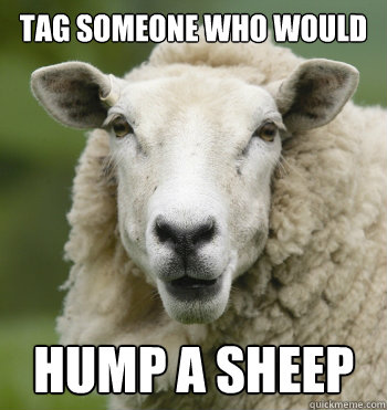 Tag someone who would Hump a sheep  