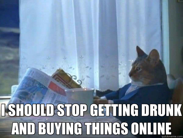 I SHOULD STOP GETTING DRUNK AND BUYING THINGS ONLINE  morning realization newspaper cat meme