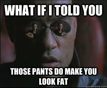 What if I told you those pants do make you look fat  Morpheus SC