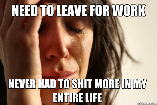 Need to leave for work Never had to shit more in my entire life  First World Problems