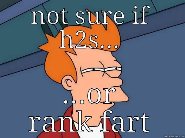 NOT SURE IF H2S... ...OR RANK FART Futurama Fry