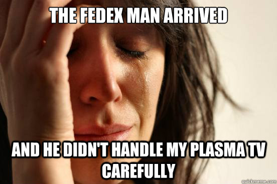 the fedex man arrived and he didn't handle my plasma tv carefully  First World Problems