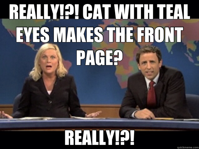 REALLY!?! CAT WITH TEAL EYES MAKES THE FRONT PAGE? REALLY!?! - REALLY!?! CAT WITH TEAL EYES MAKES THE FRONT PAGE? REALLY!?!  Misc