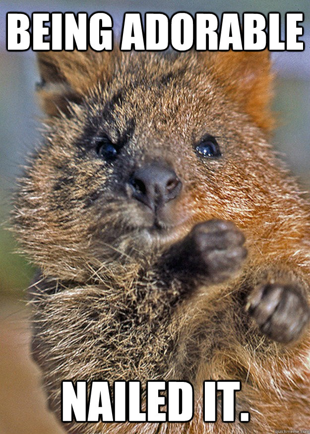 Being Adorable nailed it.
  