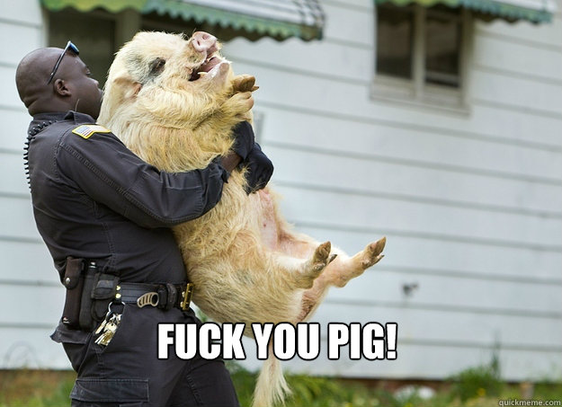 Fuck you pig!  