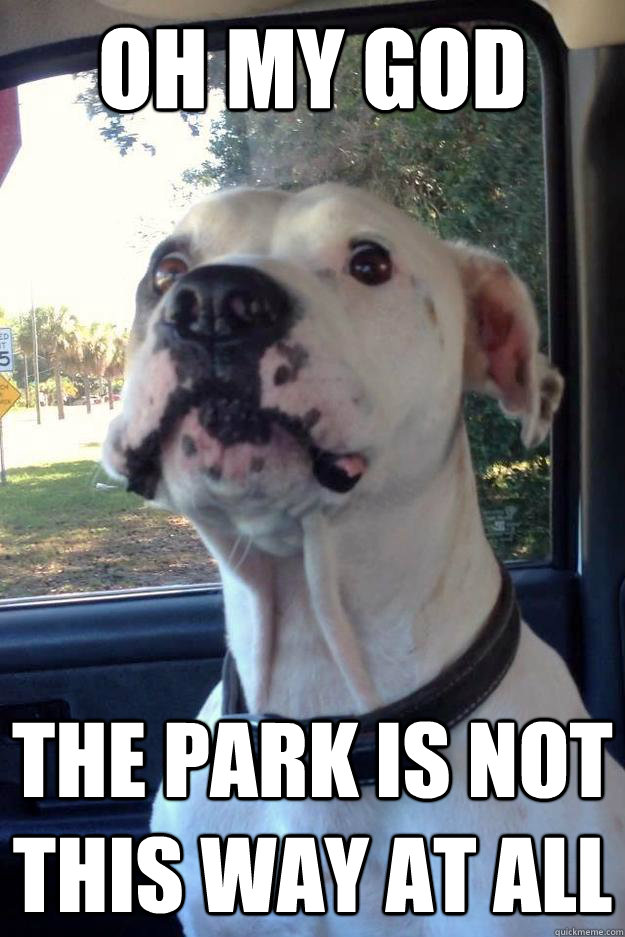 Oh my god The park is not this way at all - Oh my god The park is not this way at all  Sudden Clarity Canine