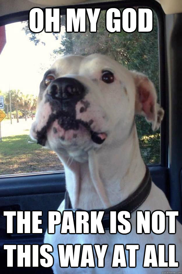 Oh my god The park is not this way at all  Sudden Clarity Canine