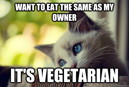 Want to eat the same as my Owner it's vegetarian  First World Problems Cat