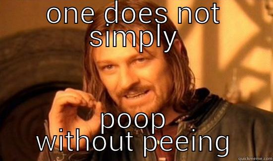ONE DOES NOT SIMPLY POOP WITHOUT PEEING Boromir