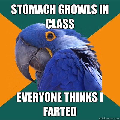 Stomach growls in class everyone thinks I farted  Paranoid Parrot