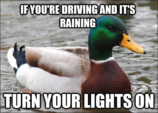 If you're driving and it's raining turn your lights on  Actual Advice Mallard