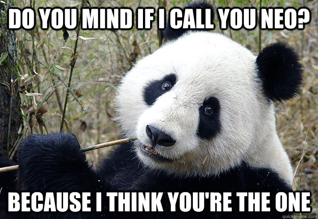 do you mind if i call you neo? because i think you're the one - do you mind if i call you neo? because i think you're the one  Pick-up line Panda