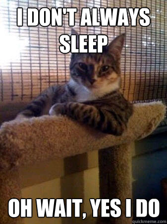 I don't always sleep oh wait, yes I do - I don't always sleep oh wait, yes I do  The Most Interesting Cat in the World
