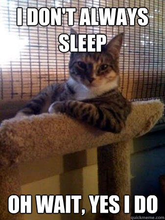 I don't always sleep oh wait, yes I do  The Most Interesting Cat in the World
