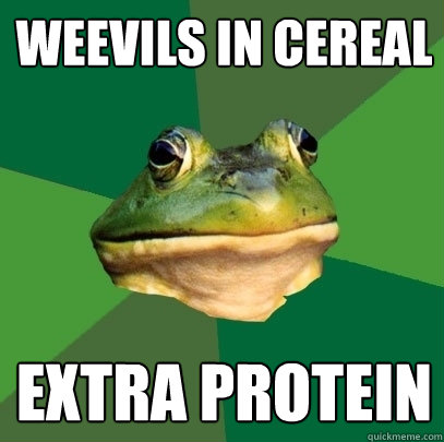 Weevils in Cereal Extra Protein  Foul Bachelor Frog