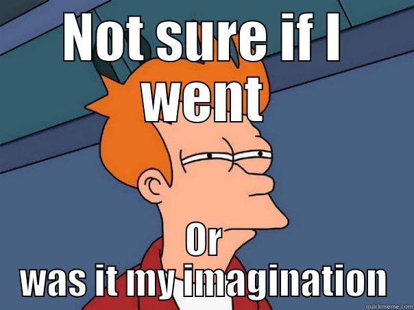 NOT SURE IF I WENT OR WAS IT MY IMAGINATION Futurama Fry