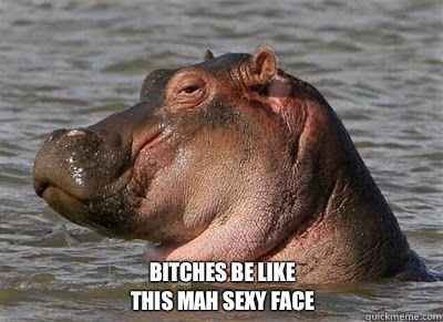 Bitches be like 
This mah sexy face  