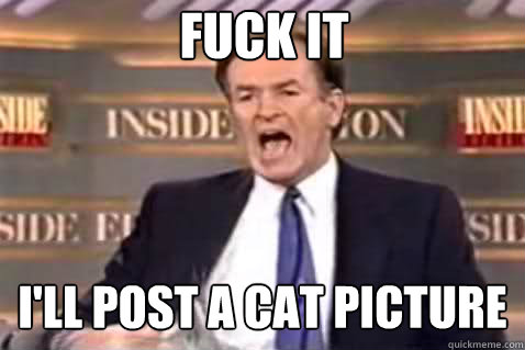 FUCK IT I'll post a cat picture - FUCK IT I'll post a cat picture  Fuck It Bill OReilly