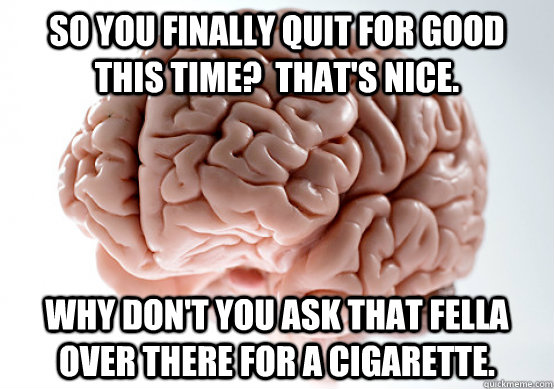 So you finally quit for good this time?  That's nice. Why don't you ask that fella over there for a cigarette.  Scumbag brain on life