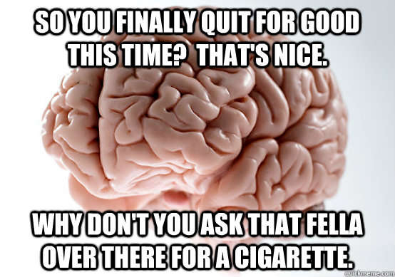 So you finally quit for good this time?  That's nice. Why don't you ask that fella over there for a cigarette. - So you finally quit for good this time?  That's nice. Why don't you ask that fella over there for a cigarette.  Scumbag brain on life