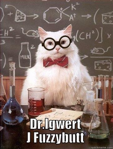 Captain Gordon -  DR.IGWERT J FUZZYBUTT Chemistry Cat