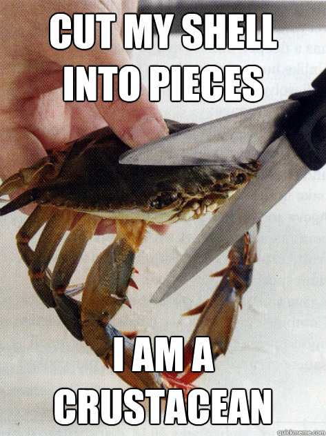 Cut my shell into pieces I am a crustacean  Optimistic Crab