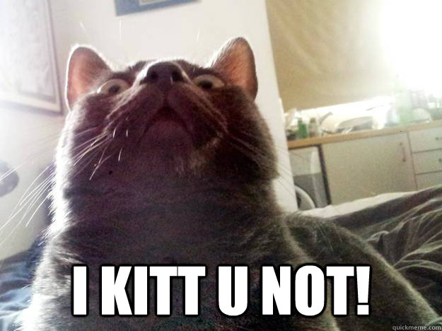  I KITT U NOT!  SWEET BABY JEEBUS