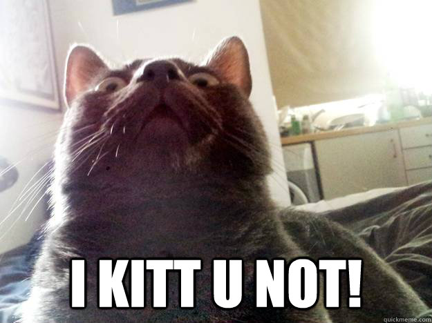  I KITT U NOT! -  I KITT U NOT!  SWEET BABY JEEBUS