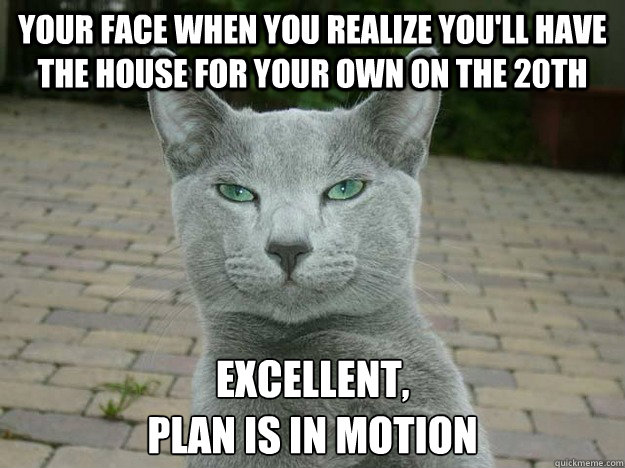 Your face when you realize you'll have the house for your own on the 20th EXCELLENT,
Plan is in motion  Evil Plan Cat