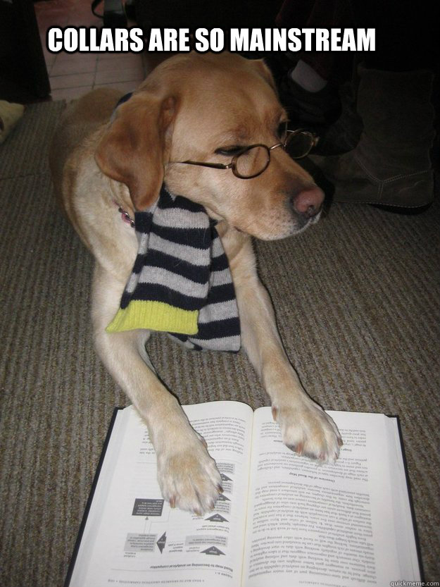 Collars are so mainstream Misc quickmeme