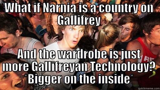 WHAT IF NARNIA IS A COUNTRY ON GALLIFREY AND THE WARDROBE IS JUST MORE GALLIFREYAN TECHNOLOGY? *BIGGER ON THE INSIDE* Sudden Clarity Clarence