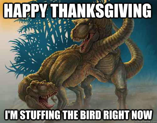 Happy Thanksgiving I'm stuffing the bird right now  