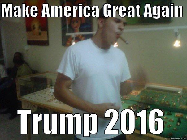 MAKE AMERICA GREAT AGAIN  TRUMP 2016 Misc