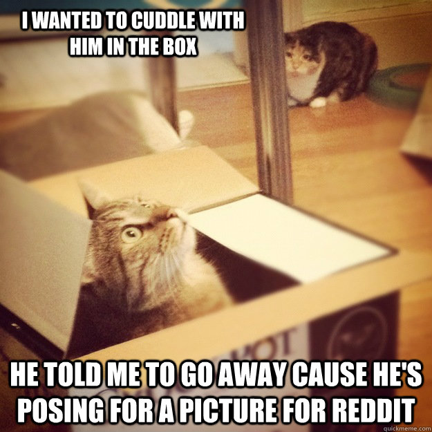 I wanted to cuddle with him in the box He told me to go away cause he's posing for a picture for reddit - I wanted to cuddle with him in the box He told me to go away cause he's posing for a picture for reddit  Misc