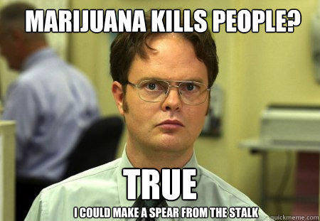 marijuana kills people? True I could make a spear from the stalk - marijuana kills people? True I could make a spear from the stalk  Schrute