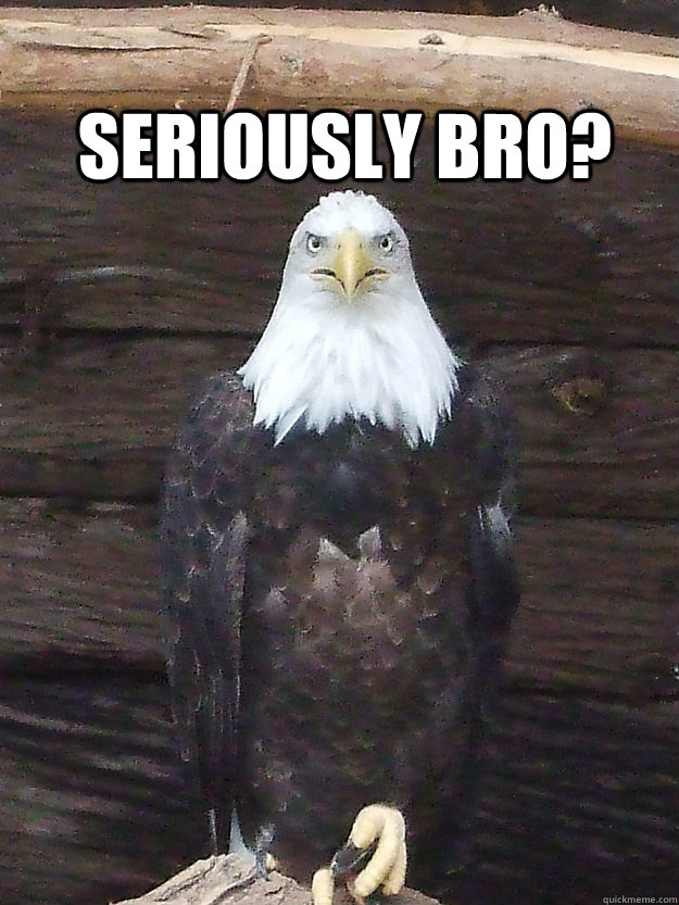 seriously bro?  Serious Eagle