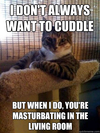 I don't always want to cuddle but when I do, you're masturbating in the living room  The Most Interesting Cat in the World