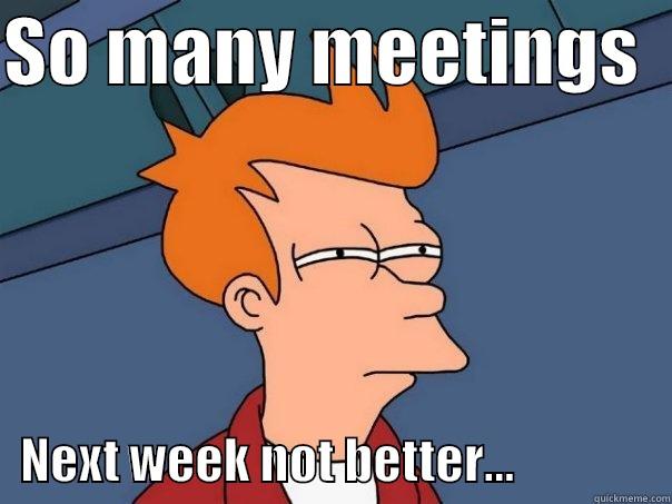 SO MANY MEETINGS      NEXT WEEK NOT BETTER...                Futurama Fry