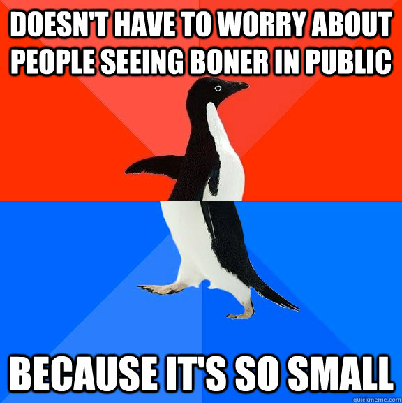 Doesn't have to worry about people seeing boner in public Because it's so small  Socially Awesome Awkward Penguin
