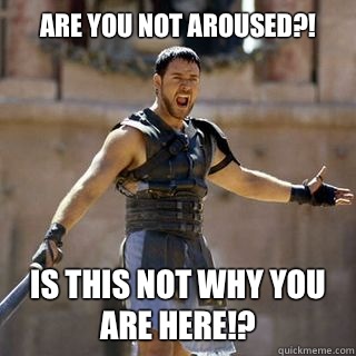 Are you not aroused?! is this not why you are here!? - Are you not aroused?! is this not why you are here!?  Angry Gladiator