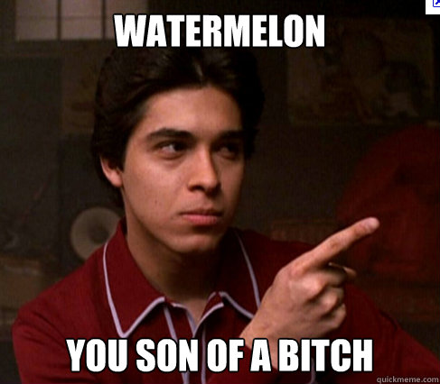 WATERMELON YOU SON OF A BITCH - WATERMELON YOU SON OF A BITCH  good day fez