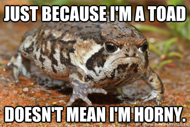 Just because I'm a toad  Doesn't mean I'm horny.  