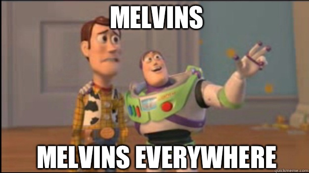 Melvins Melvins everywhere   Buzz and Woody