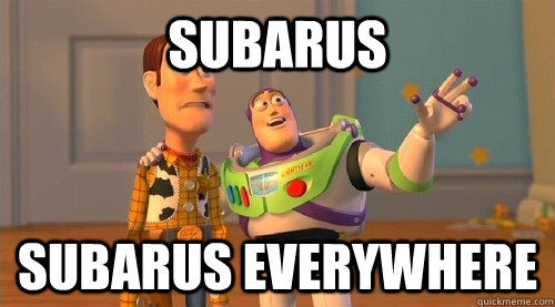 Subarus subarus everywhere  Buzz Kill