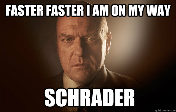 FASTER FASTER I AM ON MY WAY  schrader - FASTER FASTER I AM ON MY WAY  schrader  Misc