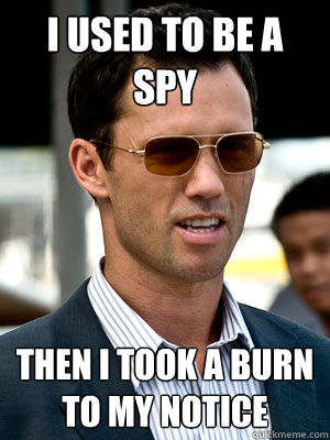 I USED TO BE A SPY THEN I TOOK A BURN to my notice  