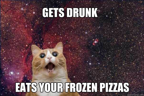 Gets drunk Eats your frozen pizzas - Gets drunk Eats your frozen pizzas  Shitty Roommate Spacecat