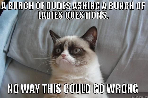A BUNCH OF DUDES ASKING A BUNCH OF LADIES QUESTIONS. NO WAY THIS COULD GO WRONG Grumpy Cat