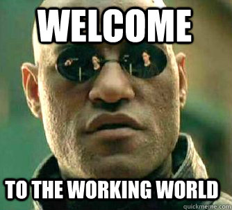 Welcome to the working world  Matrix Morpheus