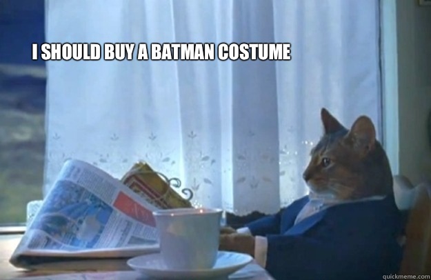 I should buy a Batman costume  Sophisticated Cat